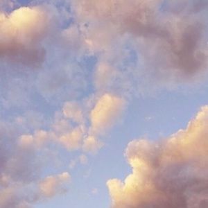 Meet your Posher, Jasper